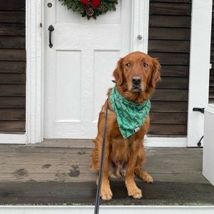 Meet your Posher, Alyson